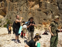 MAJORKA