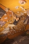 panel-3.jpg